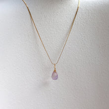 Load image into Gallery viewer, Leila Feceted Amethyst Charm Necklace